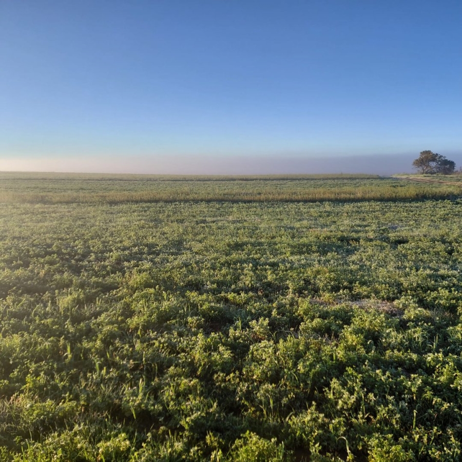 Commercial Property for Sale in Bloemfontein Rural Free State